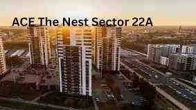 Ace The Nest — photo 2