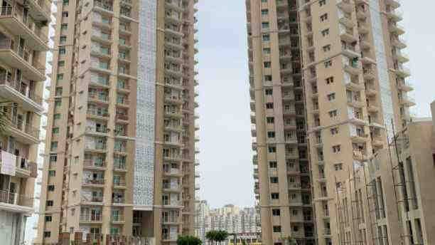Apex Golf Avenue