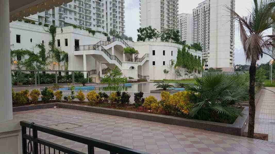 DLF New Town Heights — photo 2