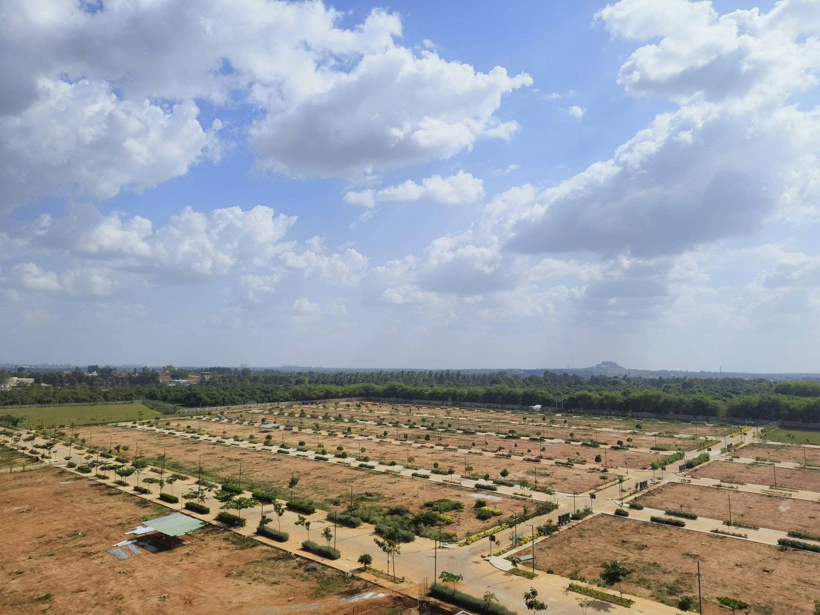 Brigade Oasis — photo 2