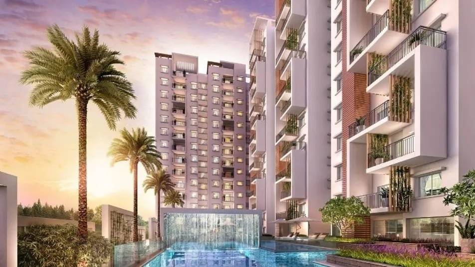 TVS Emerald LightHouse — photo 3