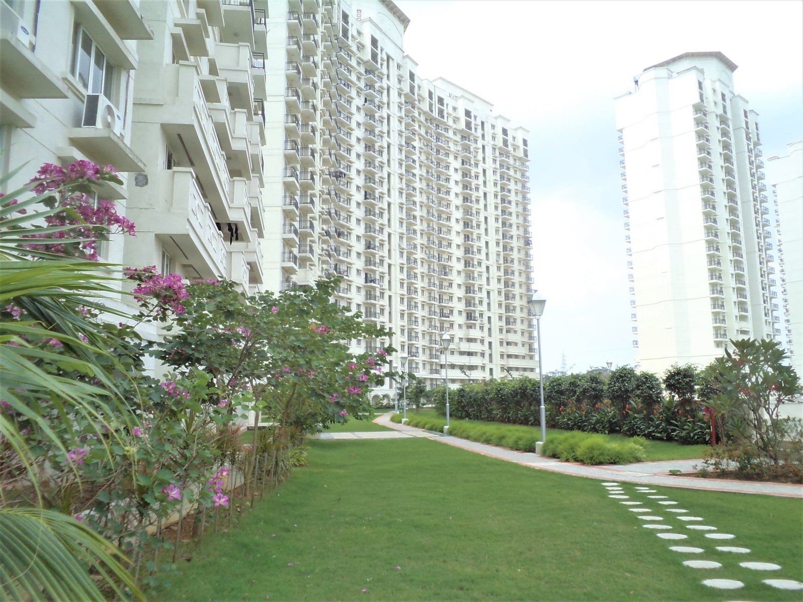DLF New Town Heights — main photo