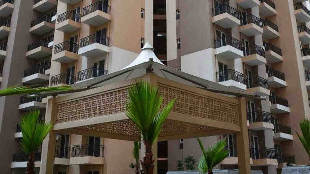 Exotica Dreamville — photo 2
