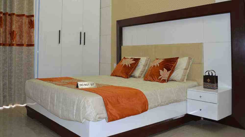 Exotica Dreamville — photo 3